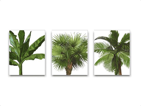 Schilderij  Set 3 Tropische bomen palmboom bananenboom cocosnootboom / Planten / Bladeren / 40x30cm