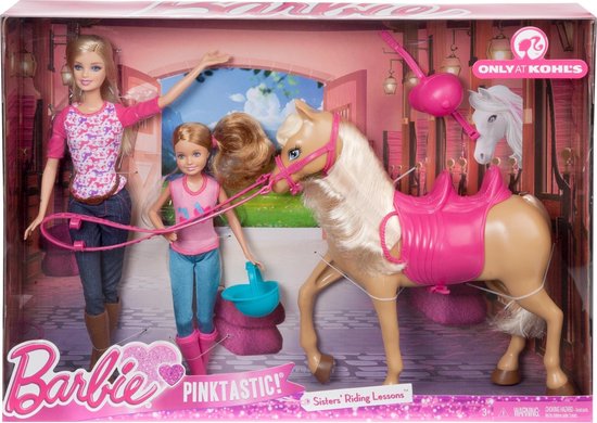Nauw exegese Ga op pad Barbie Zussen: Paardrijles Roze/bruin | bol.com