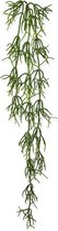 Rhipsalis Heteroclada kunsthanger 75 cm