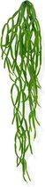Rhipsalis Paradoxa kunsthangplant 75 cm