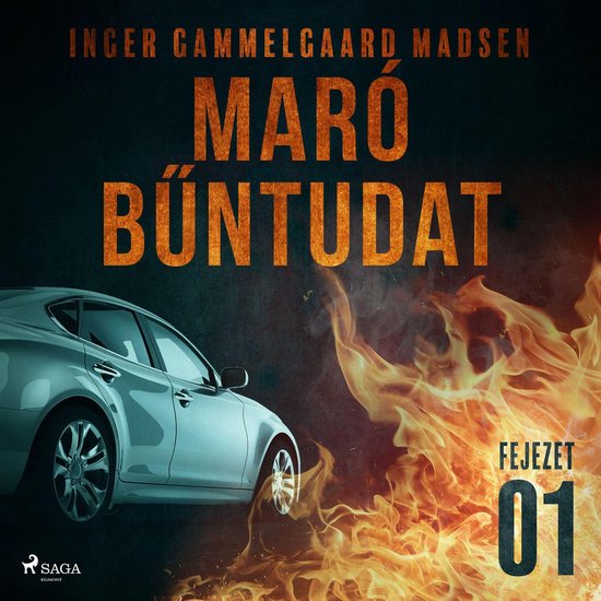 Maró bűntudat – 1. fejezet - cover