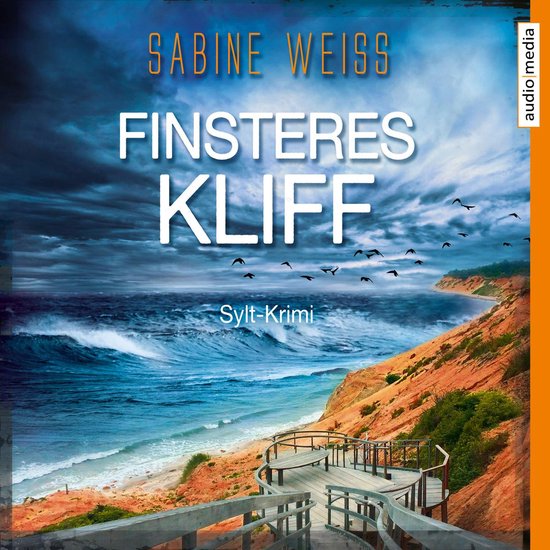 Finsteres Kliff - cover