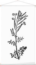 Kleine Veldkers zwart-wit (Hairy Bitter Cress) - Foto op Textielposter - 60 x 90 cm