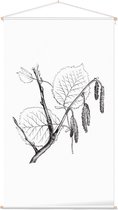 Hazelaar zwart-wit (Hazel) - Foto op Textielposter - 60 x 90 cm