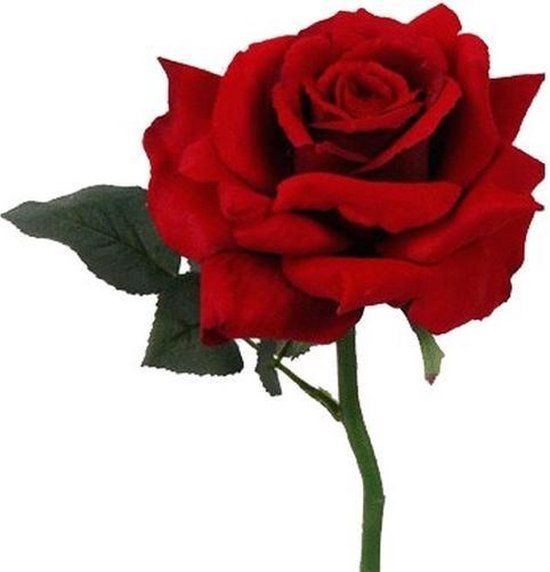 Birma verontschuldiging Interpersoonlijk Luxe rode roos in vaasje 31 cm | bol.com