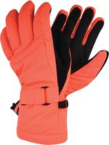 Dare2b -Acute  - Handschoenen - Vrouwen - MAAT XS - Oranje