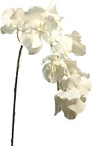 Kunstbloemen En Overige - (best) Vanda Orchid Cream 95cm