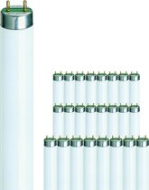 Multipack 25x Philips TL-D 70W 830 Super 80 (MASTER) | 176.5cm - Warm Wit