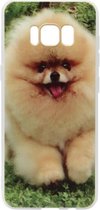 ADEL Siliconen Back Cover Softcase Hoesje voor Samsung Galaxy S8 Plus - Pomeriaan Dwergkees Hond