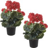 Set van 2x stuks rode geranium kunstplanten in zwarte kunststof pot 35 cm - Pelargonium Graveolens - Woondecoratie