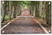 Tuinposter – Herfstige Weg Tussen Bomen - 60x40cm Foto op Tuinposter  (wanddecoratie voor buiten en binnen)