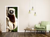 Luxe Deursticker Maki aan boom - bruin|wit - Sticky Decoration - deurposter - decoratie - woonaccesoires - op maat voor jouw deur