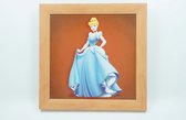 Disney Schilderij Prinses Assepoester 40 CM X 40 CM