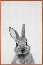 JUNIQE - Poster met kunststof lijst Konijn zwart-wit foto -60x90 /Wit