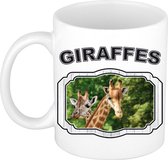Dieren giraffe beker - giraffes/ giraffen mok wit 300 ml