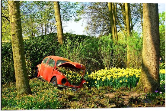 Dibond - Auto in Bloementuin - 90x60cm Foto op Aluminium (Met Ophangsysteem)