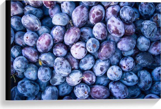 Canvas  - Foto van Paarse Druiven - 60x40cm Foto op Canvas Schilderij (Wanddecoratie op Canvas)