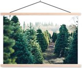 Sweet Living Poster - Veld Kerstbomen - 0 X 0 Cm - Multicolor