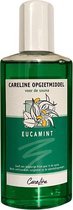 Careline Sauna Opgietconcentraat Eucamint - (100ml)