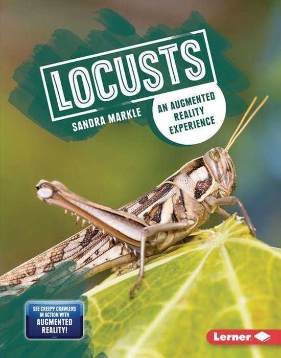 Foto: Creepy crawlers in action augmented reality locusts