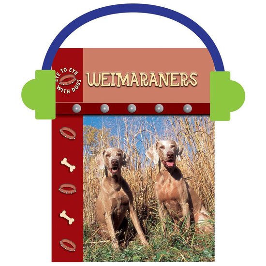 Twee Weimaraners in hoog gras met een koptelefoon-ontwerp bovenaan en tekst: Eye to Eye with Dogs, Weimaraners.