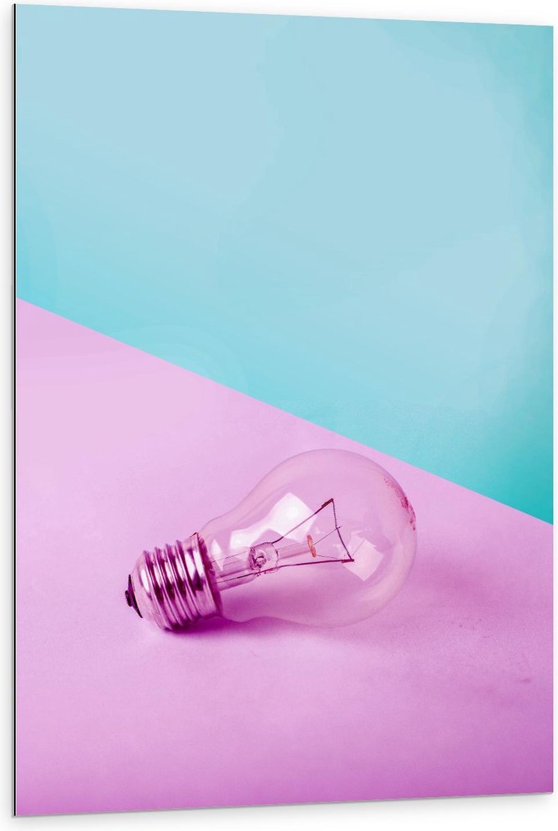 Dibond - Gloeilamp Roze/Blauwe Achtergrond - 80x120cm Foto op Aluminium (Wanddecoratie van