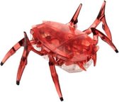 Hexbug Speelfiguur Scarab Junior 5,7 X 8,3 X 4 Cm Rood