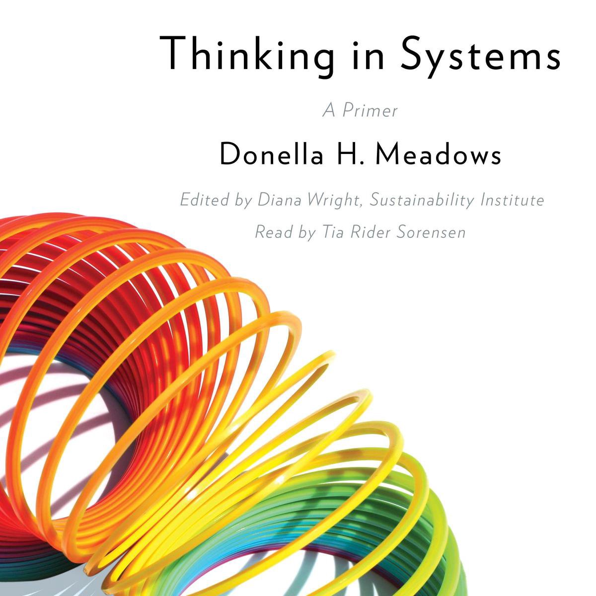 donella medaow the system lens