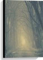 Canvas  - Mist bij Bomen op Bospad - 40x60cm Foto op Canvas Schilderij (Wanddecoratie op Canvas)
