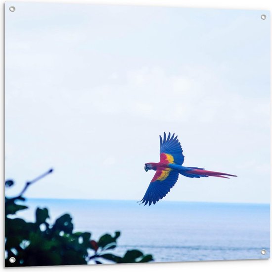 Tuinposter – Vliegende Papegaai boven de Zee - 100x100cm Foto op Tuinposter  (wanddecoratie voor buiten en binnen)