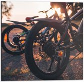 Dibond - Mountainbike Fietsen  - 50x50cm Foto op Aluminium (Met Ophangsysteem)