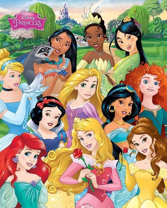 Affiche Princesse Disney Princess 40x50cm