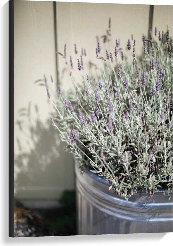 Canvas  - Paars Lavendelbloemen in Zilveren Pot - 60x90cm Foto op Canvas Schilderij (Wanddecoratie op Canvas)