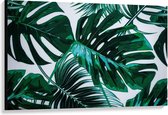 Canvas  - Groene Bladeren op Witte Achtergrond - 120x80cm Foto op Canvas Schilderij (Wanddecoratie op Canvas)