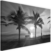 Schilderij Palmbomen en zonnestralen, 2 maten, zwart-wit, Premium print