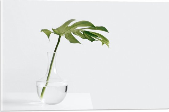 Acrylglas - Groene Tak in Vaasje  - 60x40cm Foto op Acrylglas (Met Ophangsysteem)