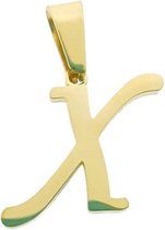 Stalen goudkleurige hanger letter x