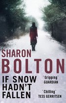 If Snow Hadn't Fallen (a Lacey Flint short story)