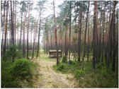 Poster – Houten Hutje in het Bos - 40x30cm Foto op Posterpapier