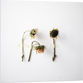 Acrylglas –Fel Gele Bloemen met Boom in Grasveld– 40x30 (Wanddecoratie op Acrylglas)