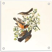 Tuinposter – Getekende Vogels op een Takje - 50x50cm Foto op Tuinposter  (wanddecoratie voor buiten en binnen)