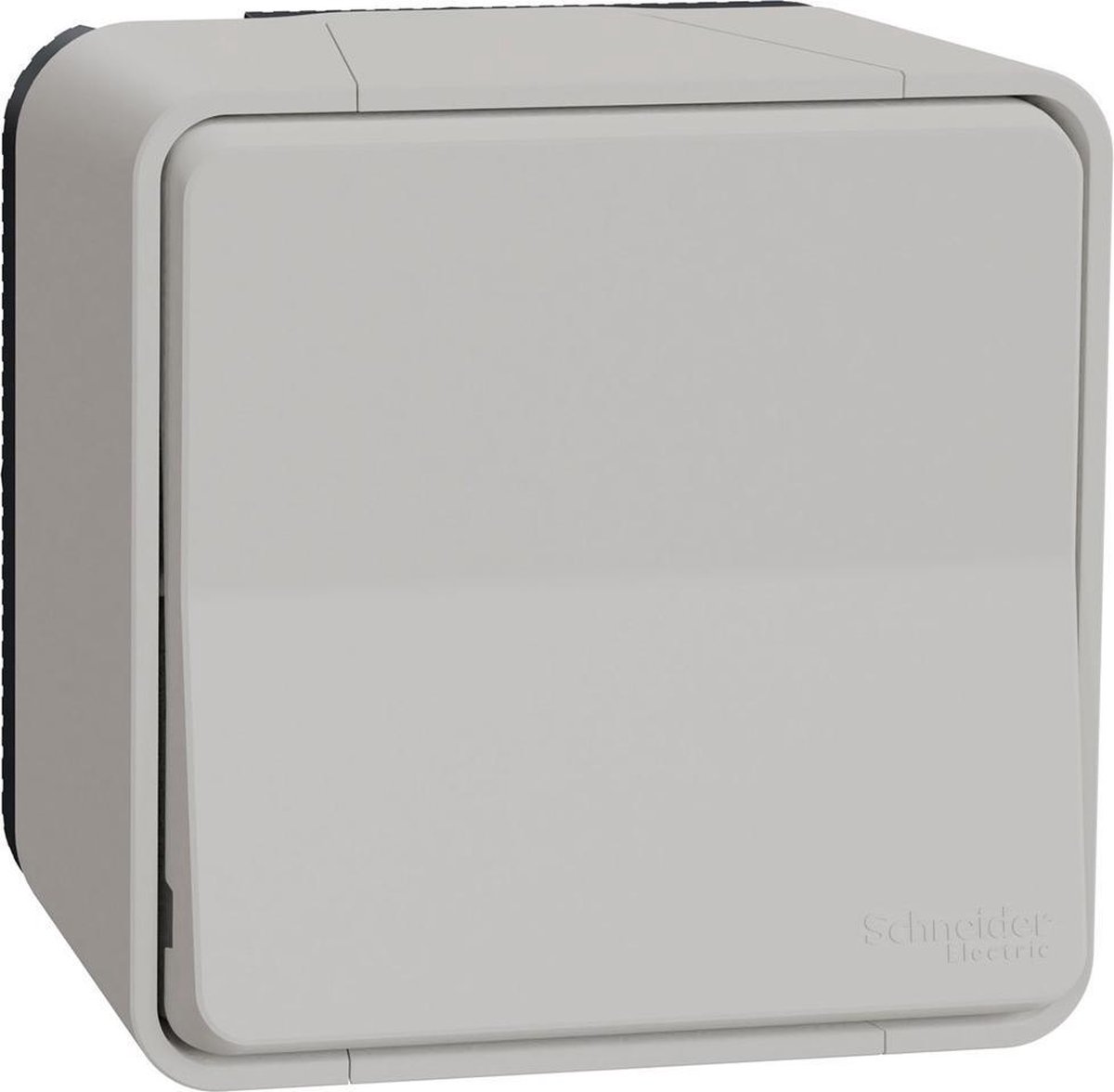 Pulsschakelaar Buiten - Opbouw - Polarwit - Mureva Styl - Schneider Electric - MUR39026