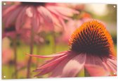 Tuinposter – Roze Bloeiende Bloem - 120x80cm Foto op Tuinposter  (wanddecoratie voor buiten en binnen)