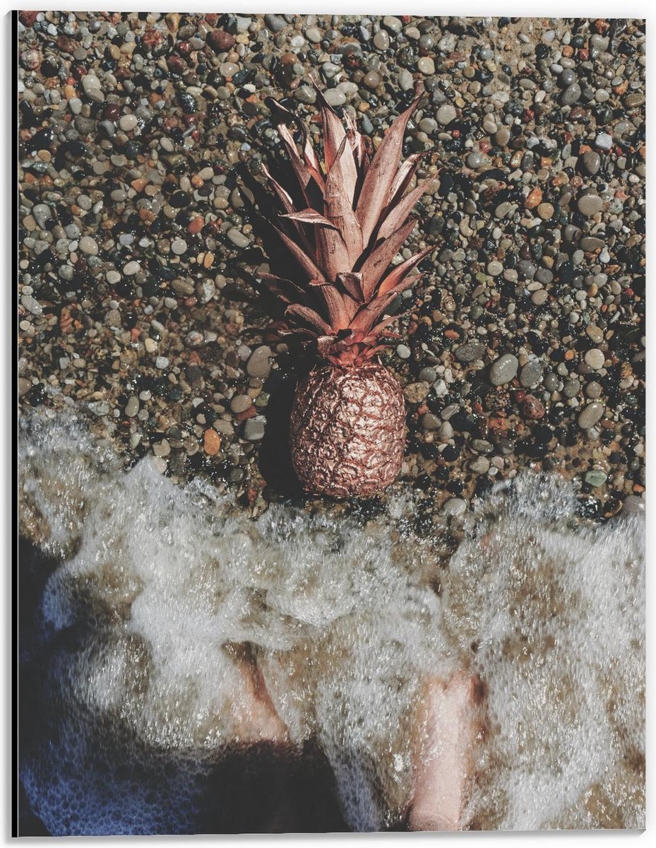 Dibond - Gouden Ananas Spoelt aan - 30x40cm Foto op Aluminium (Met Ophangsysteem)