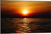 Dibond - Mensen in Zee tijdens Zonsondergang - 90x60cm Foto op Aluminium (Met Ophangsysteem)