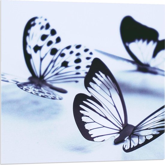 Acrylglas - Doorzichtige Vlinders - 80x80cm Foto op Acrylglas (Met Ophangsysteem)