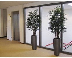 Raphis kunstpalm deluxe 160cm - FR - brandvertragend