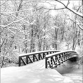 Ambiente - Snow Bridge papieren servetten - kerst - winter