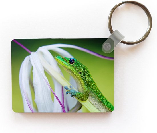 Porte-clés Gecko - Gecko vert sur une araignée blanche porte-clés en  plastique -... | bol.com