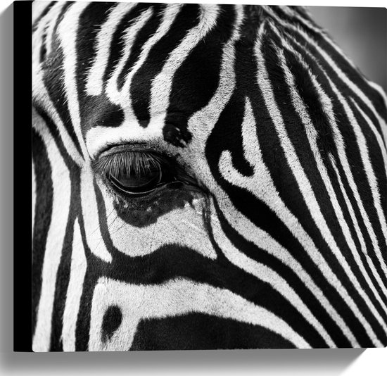 WallClassics - Canvas  - Voorhoofd van een Zebra - 40x40 cm Foto op Canvas Schilderij (Wanddecoratie op Canvas)